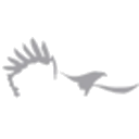 Air Tindi logo