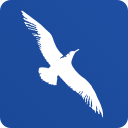 Cape Air logo
