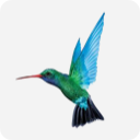Caribbean Airlines logo
