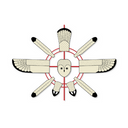 Aero Flight logo