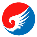Caucasus Airlines logo