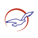 Patriot Airways logo