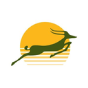 Precision Air logo