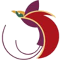 Air Niugini logo