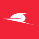 Georgian National Airlines logo