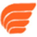 Ryan International Airlines logo