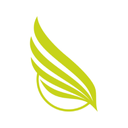SkyWork Airlines logo