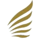VLM Airlines logo