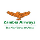 Zenith International Airline logo